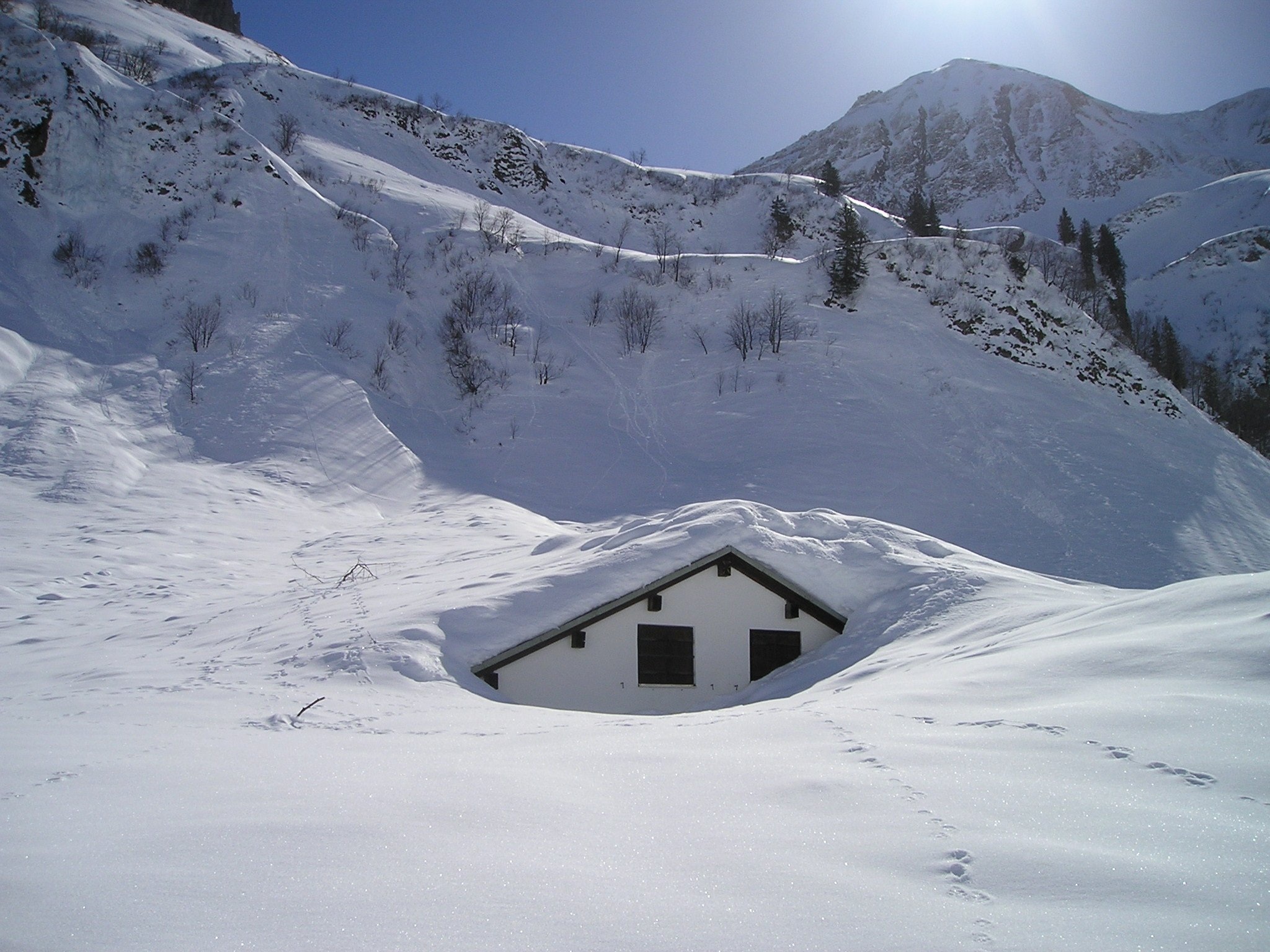 House buried in snow